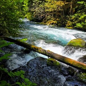 Meet your Posher, Jill